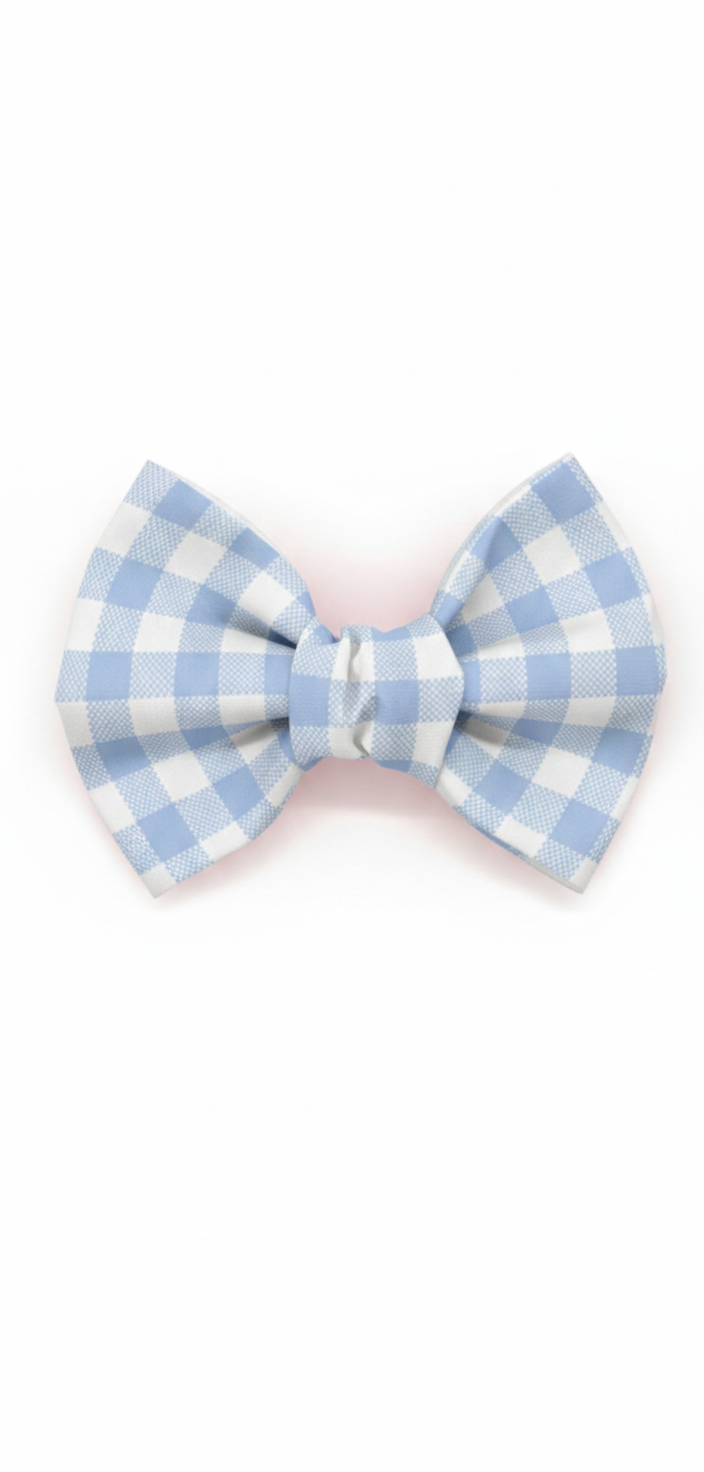 Blue gingham bow