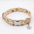 Pumpkin Spice Dog Collar