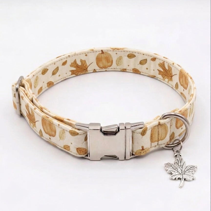 Pumpkin Spice Dog Collar