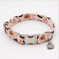 Spooktacular Dog Collar