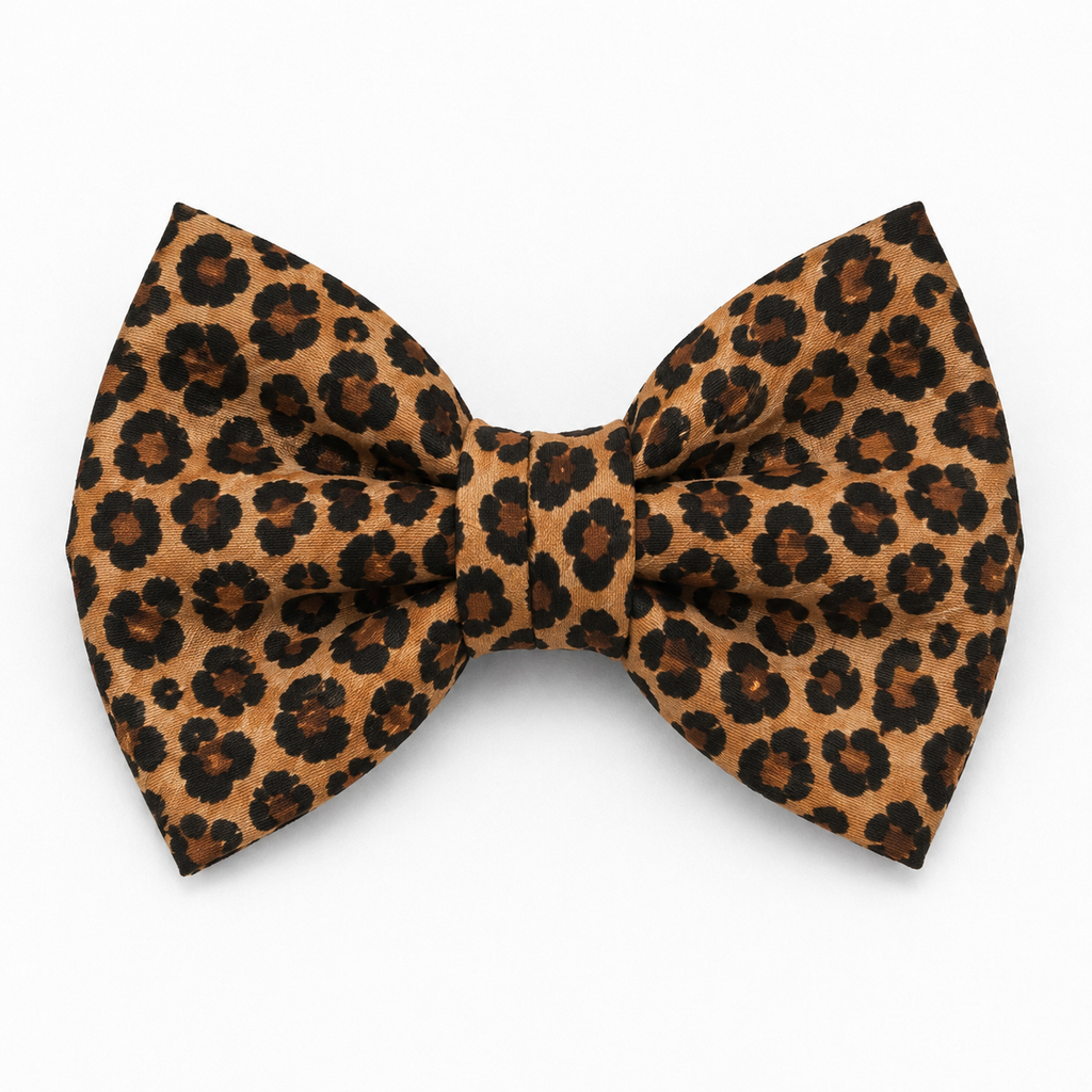 Leopard print Bow