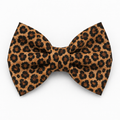 Leopard print Bow