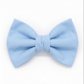 Baby Blue Bow