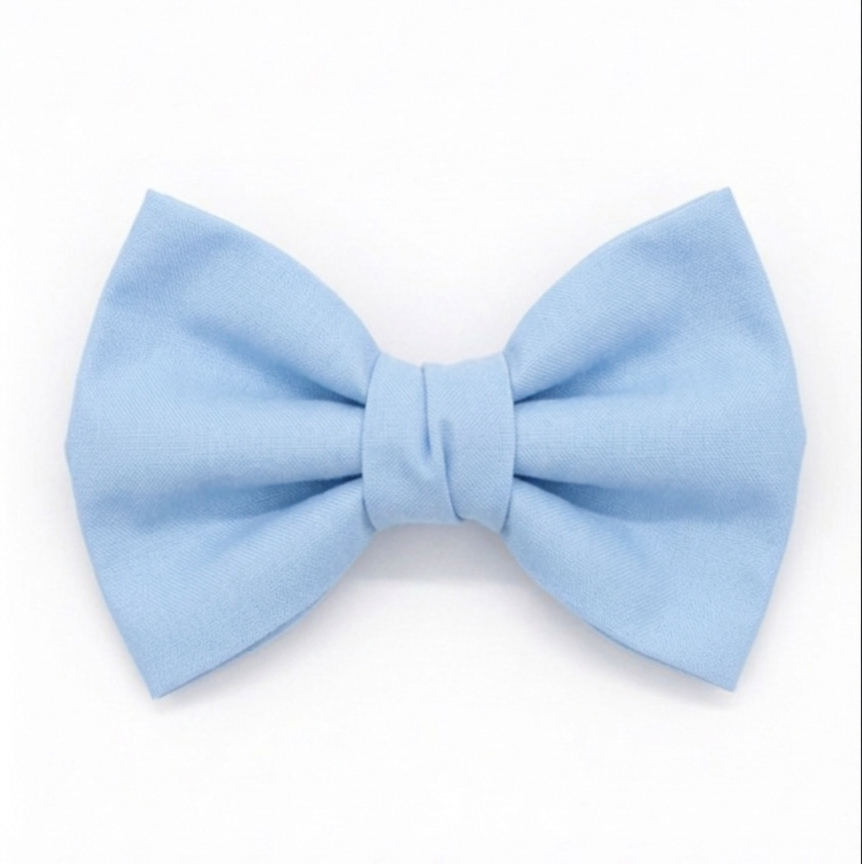 Baby Blue Bow